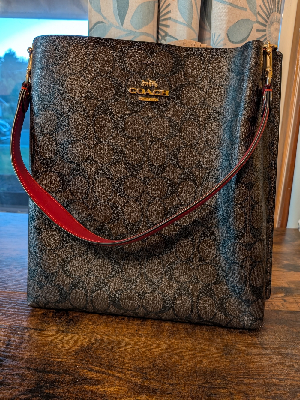 Coach Mollie Signature Canvas Shoulder Bag with Red Strap